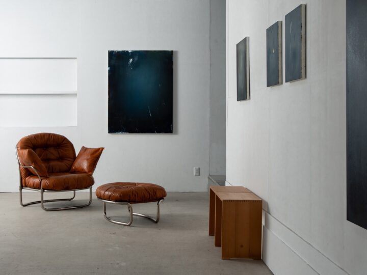 After Light, Before Shadow